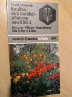 Knollen und Zwiebelpflanzen, Kosmos, pflegen pflanzen vermehren Bayern - Weißenburg in Bayern Vorschau