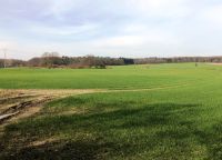 Landkreis Saalekreis: ca. 8,9 ha Ackerland mit Ø 73 Bodenpunkten gegen Höchstgebot zu verkaufen Sachsen-Anhalt - Salzmünde Vorschau