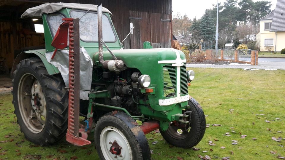 Traktor Famulus RS 14/30 Schlepper Treckertreck Alt in Halbendorf