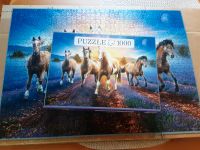 Puzzle 1.000 Teile Pferde im Lavendelfeld Bayern - Landshut Vorschau