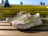 Adidas Ozweego lime Gr. 39,5 Berlin - Pankow Vorschau