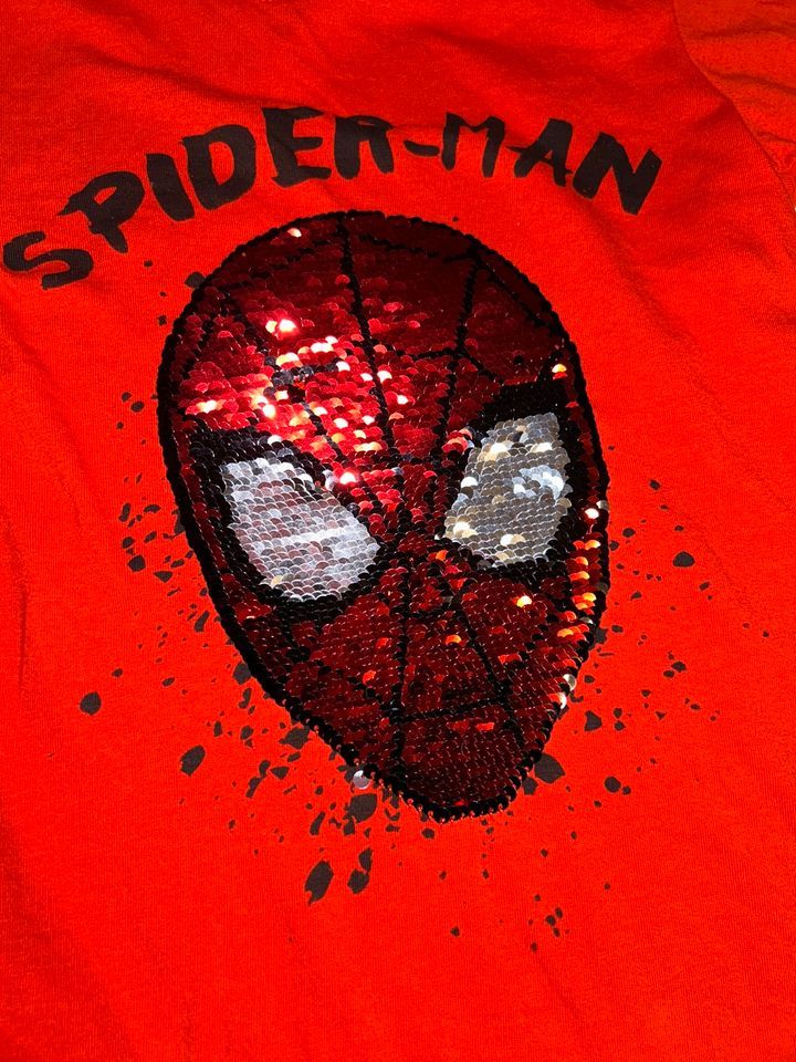 T-Shirt, Pullover Jungen 110 116 122 Spiderman, Jurassic World in Gaildorf