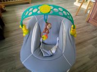 Hauck Alpha Bouncer 2-in-1 mit spielbogen Baden-Württemberg - Schwäbisch Hall Vorschau