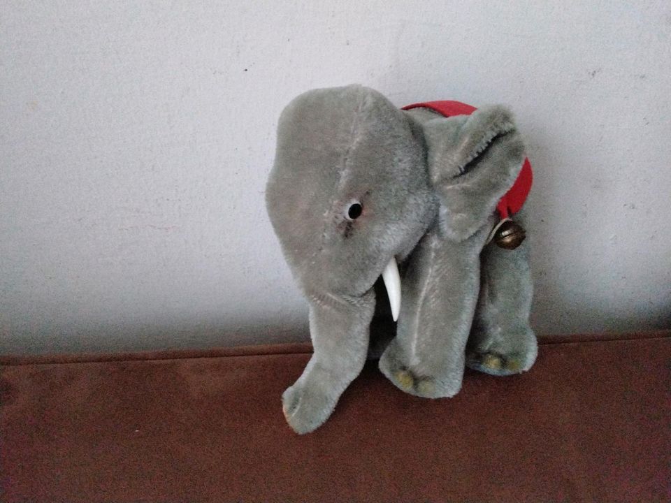 Steiff Elefant in Bayreuth