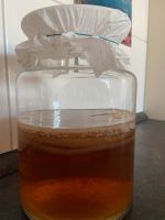 Scoby / Kombucha Hannover - Linden-Limmer Vorschau