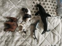 Schleich Tiere Panda, Kalb, Orca, Blauhai, Mammut, Drache 2,50-7€ Nordrhein-Westfalen - Dormagen Vorschau