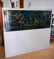 Großes 784 Liter Aquarium mit Unterschrank Baden-Württemberg - Bad Rappenau Vorschau