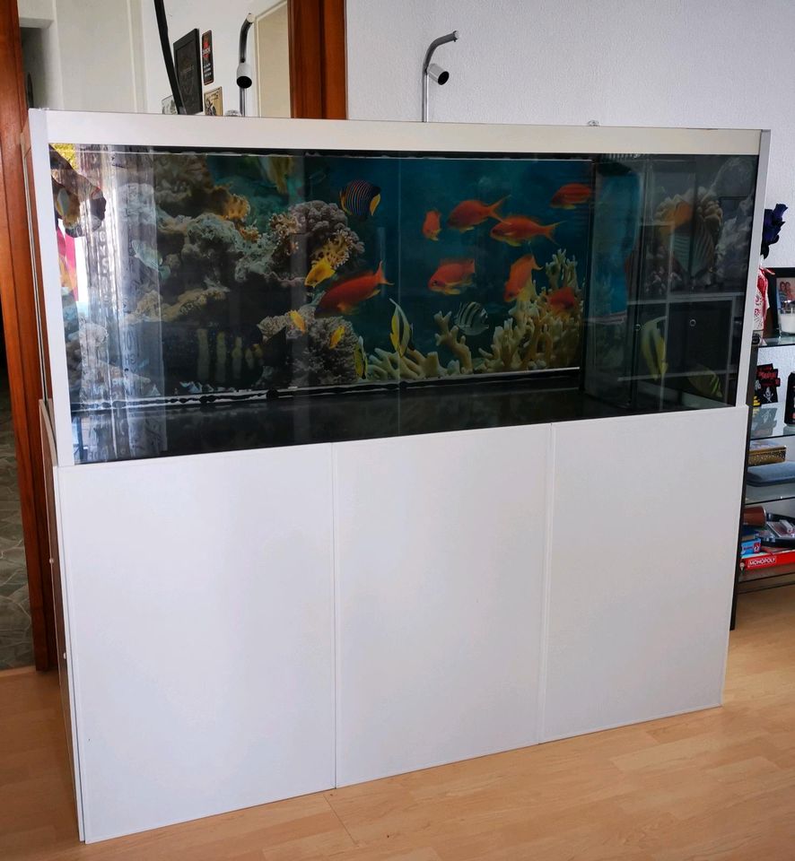 Großes 784 Liter Aquarium mit Unterschrank in Bad Rappenau