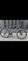 BTWİN 27.5 MTB ROCKRİDER 500 Stuttgart - Stammheim Vorschau