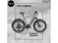 E-Bike/ Waldbike E-CITY / E-TREKKING SORBUS/ wolf grey Nordrhein-Westfalen - Lünen Vorschau