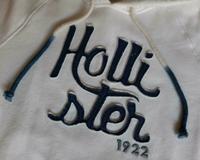 Hollister Pullover Hoodie Gr.M Weiß " Top " Rheinland-Pfalz - Schwegenheim Vorschau