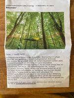 Baumzeltübernachtung „Träumen in den Bäumen“ Beuel - Oberkassel Vorschau