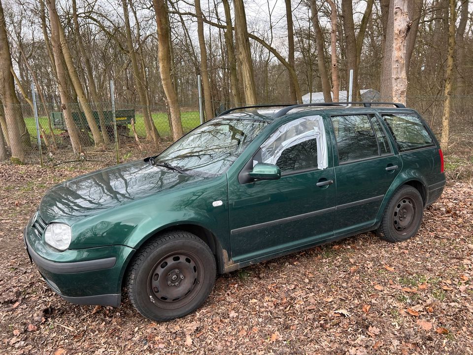 Schlachtfest VW Golf 4 Variant 1.6 16V AZD ERT LC6M Ersatzteile in Sarstedt