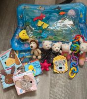 Spielzeugpaket Baby, Rasseln, Bücher, Wassermatte, Sterntaler u.a Schleswig-Holstein - Bad Bramstedt Vorschau