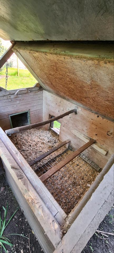 Hühnerhaus mit Schließautomatik in Preetz