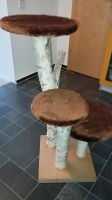 Katzenbaum aus Birke, von Katze nicht genutzt Sachsen - Hohndorf Vorschau