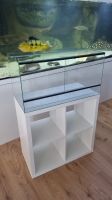 Terrarium für IKEA Kallax Regal 76,5x39x40 NEU Niedersachsen - Bad Nenndorf Vorschau