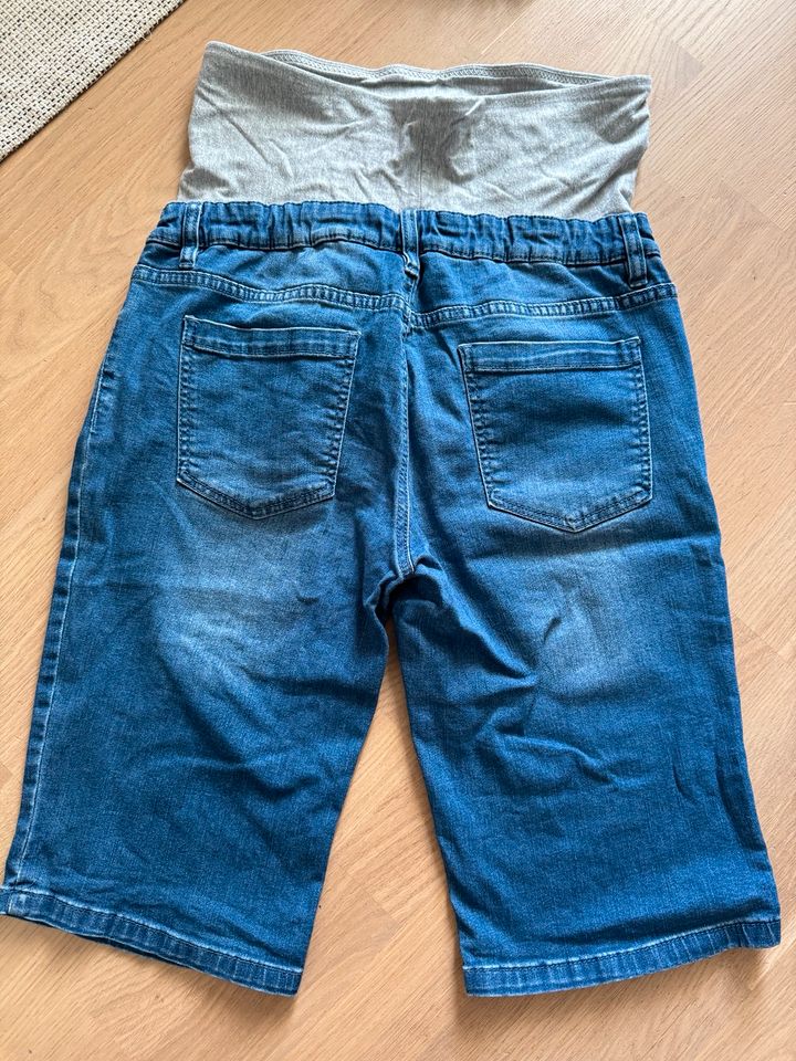 Schwangerschaftshosen M-L Umstandsmode H&M Mama u.a. Jeans in Potsdam