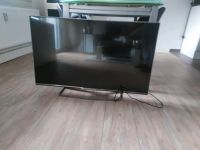 Philips 42 toll TV Dresden - Johannstadt Vorschau