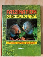 Faszination Diskuswildfänge Diskus Bielefeld - Senne Vorschau
