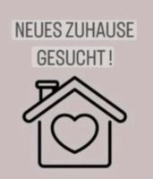 Wir suchen ein Haus/DHH/RH ab 120m2 Bielefeld - Schildesche Vorschau