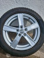 4x 215 55 R17 98V Dunlop Winterreifen VW Passat,Audi Nordrhein-Westfalen - Detmold Vorschau