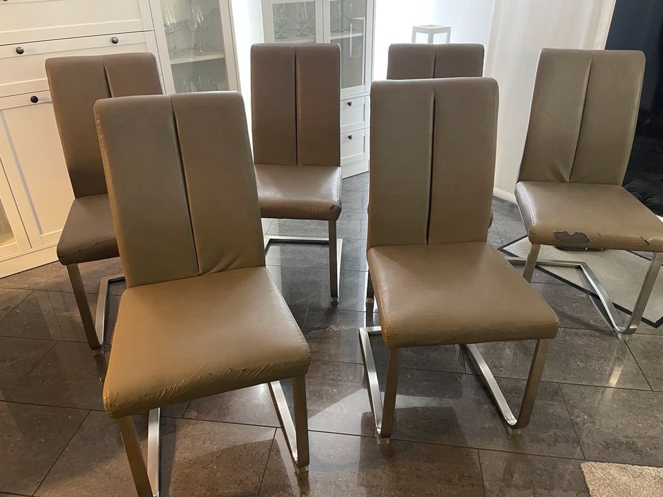 Esszimmer Stühle in Hamm