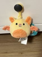 Squishmallows / US Import / Squishmallow / Clip Hessen - Hanau Vorschau