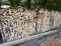 Holz, Brennholz,  Buche / Esche Baden-Württemberg - Donzdorf Vorschau