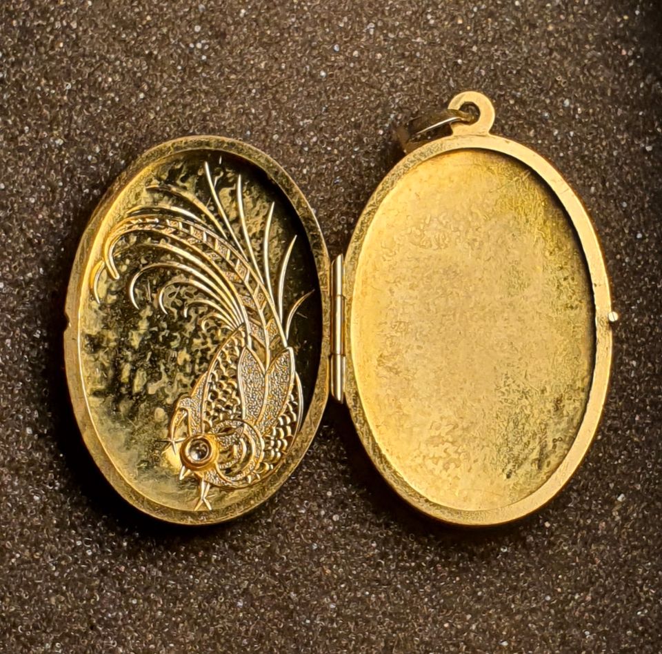 333 Goldanhänger Medallion 42x24mm Gelbgold Vogel Stein in Rodenberg