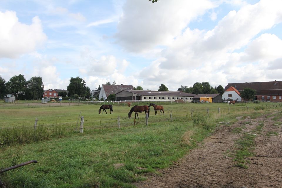 Boxen frei in Kollow