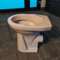 Stand WC erhöht bahamabeige Niedersachsen - Hilter am Teutoburger Wald Vorschau