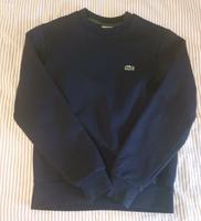 Pullover Lacoste Größe XS dunkelblau Baden-Württemberg - Reutlingen Vorschau