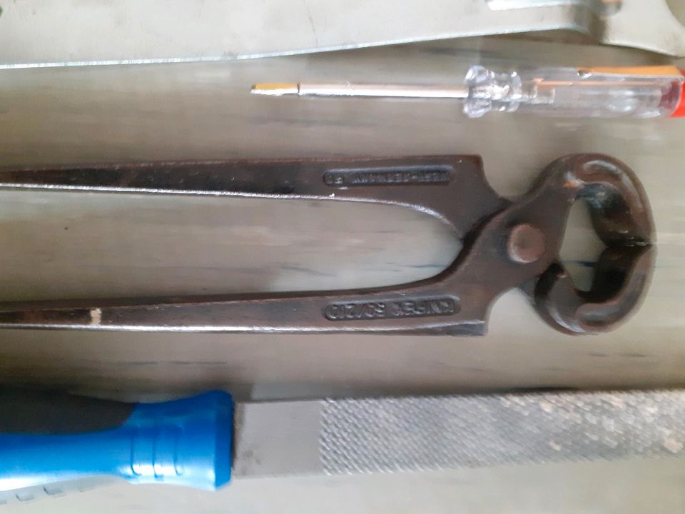 Werkzeuge Zange, Stromprüfer, Knipex Seitenschneider in Meerbusch
