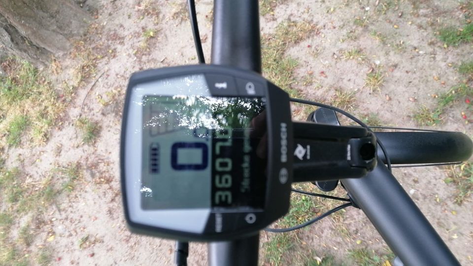 E-Bike DIAMANT Urari Delux+500 Wh 60H SW in Salzwedel