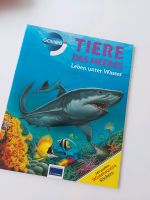 Galileo für Kinder: Tiere des Meeres, Buch, Neu Baden-Württemberg - Leutenbach Vorschau