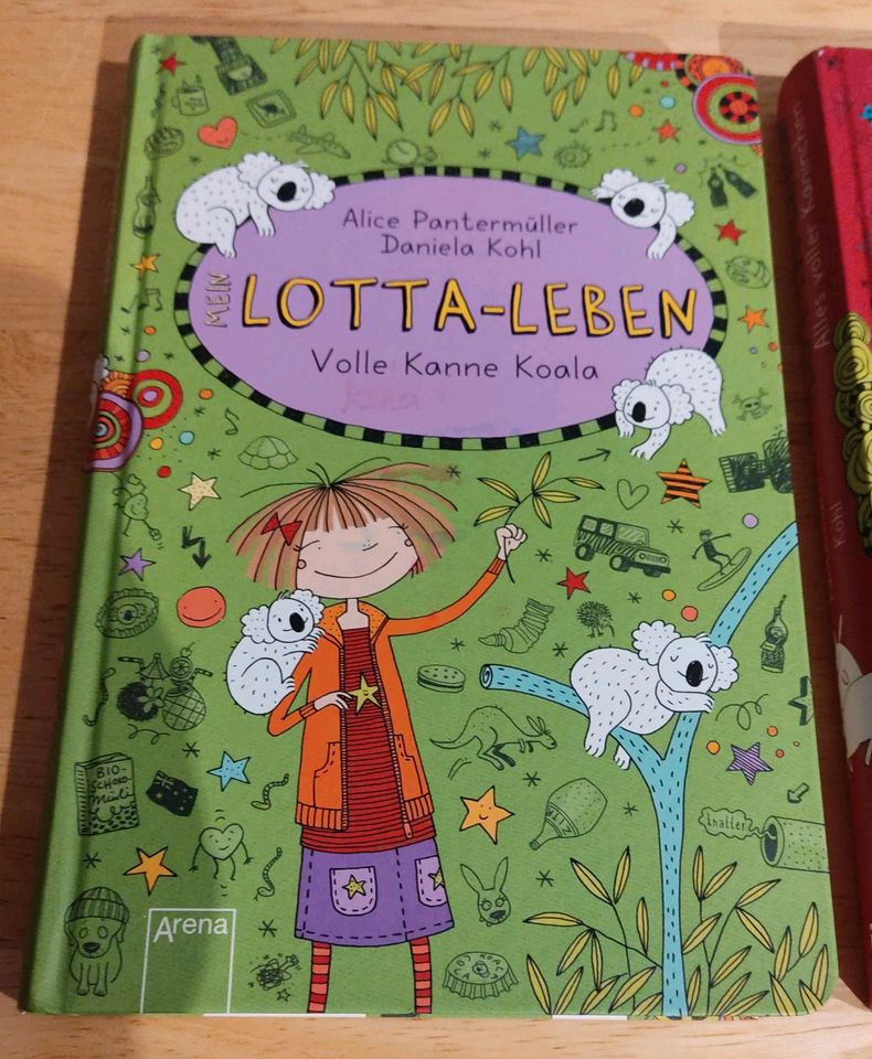 Kinderbuch Lotta- Leben Kinderbücher sehr gut in Waldsolms