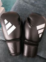 Adidas Boxhandschuhe zu verkaufen Nordrhein-Westfalen - Hagen Vorschau