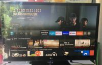 Großer 60 Zoll TV von LG 60PK950 , Full HD , 4x HDMI West - Sossenheim Vorschau