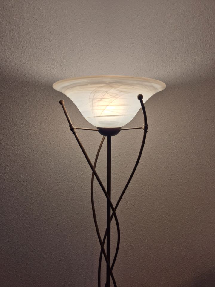 Stehlampe (Bronze, Braun, Innr RGB Leuchtmittel, 2m Kabel) in Konstanz