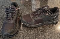 ReebokTurnschuh Outdoor GORE-TEX 35,5 Rheinland-Pfalz - Vinningen Vorschau