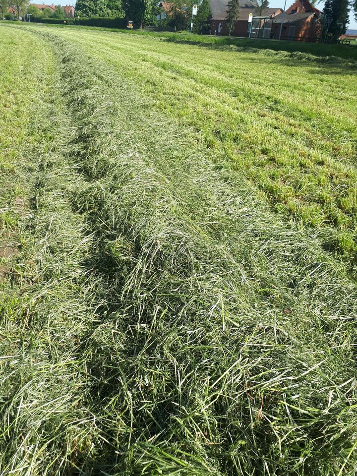 Heulage Rundballen aus Mai 24 in Stolzenau