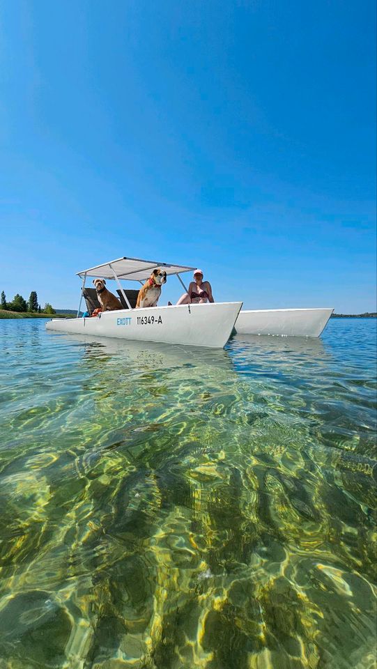 Exott Cruiser Catamaran Trailer Katamaran Anhänger in Erfurt