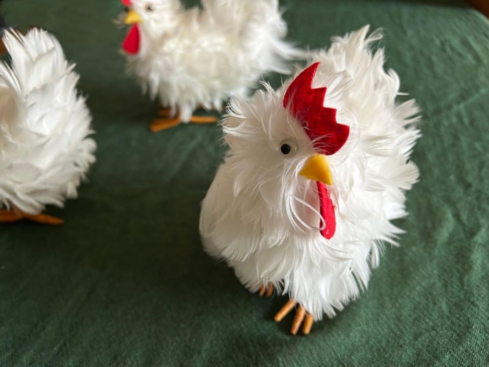Deko-Hühner Federn in Traunstein