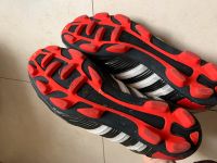 Fußball Schuhe Größe 11,5 Rheinland-Pfalz - Hauenstein Vorschau