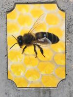 Bienen, Ableger von April Nordrhein-Westfalen - Heiligenhaus Vorschau