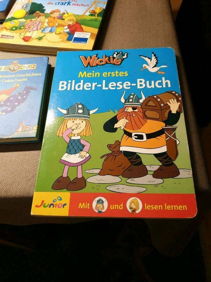 Kinderbuch Buch Kinder Vorlesen erstes Lesen Geschichten in Ehingen (Donau)