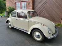 VW Käfer  1200 Bj 1964 Nordrhein-Westfalen - Brilon Vorschau