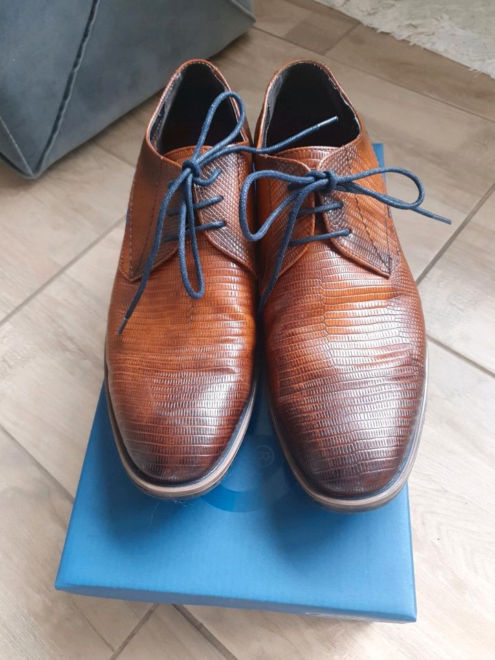 Herren Schuhe in Kroko Optik Gr.40 in Bonn