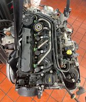 Motor Citroen Jumpy C4 Fiat Opel Peugeot 2.0 TDCI DW10F DW10FC Bielefeld - Senne Vorschau